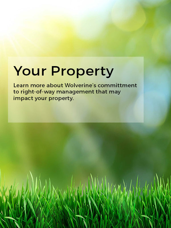 Your Property Learn more about right-of-way management