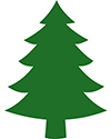 Evergreen tree