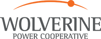 Wolverine Power Cooperative Logo