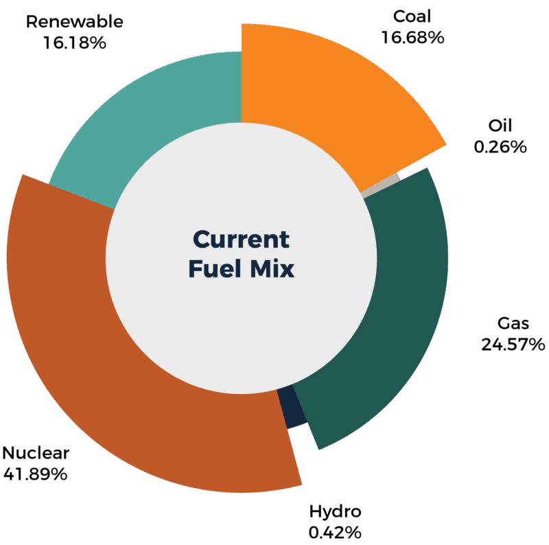 Fuel Mix from Annual Report