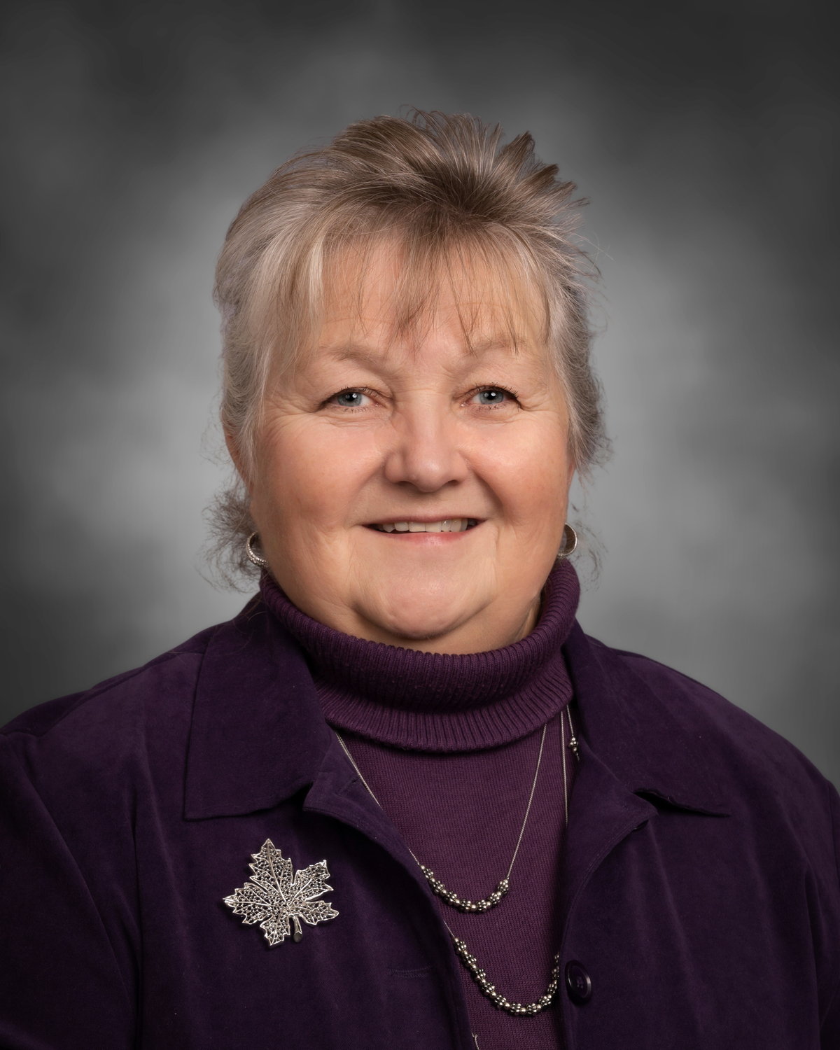 Our Board of Directors – Wolverine Power Cooperative